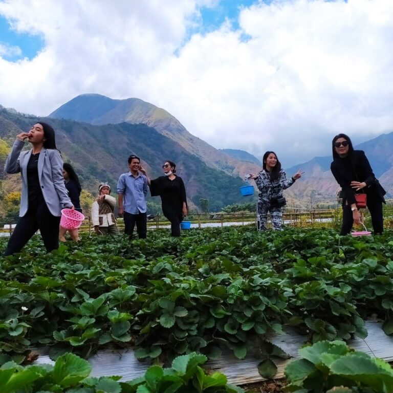 Wisata Sembalun 2
