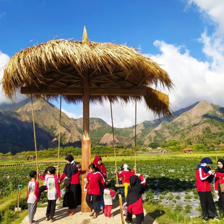 Wisata Sembalun